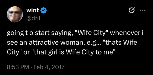 A screenshotted tweet from Dril, which reads, 'going t o start saying, 'Wife City' whenever i see an attractive woman. e.g...'thats Wife City' or 'that girl is Wife City to me.''